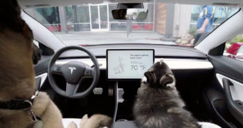 Tesla Dog Mode